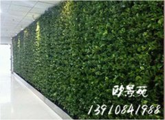 办公区绿植墙