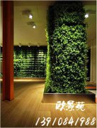 办公室绿植墙2