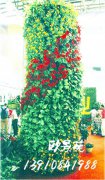 绿植墙包柱