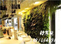 餐厅绿植墙