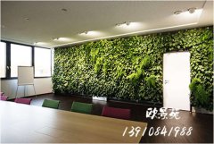 办公室绿植墙