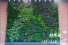 大堂绿植墙