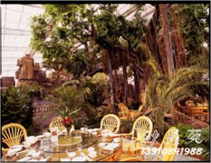 忆江南假山植物群