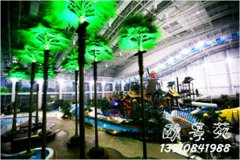 中心游乐园效果