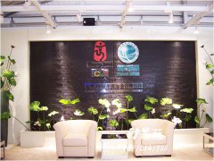 奥运鸟巢水幕工程